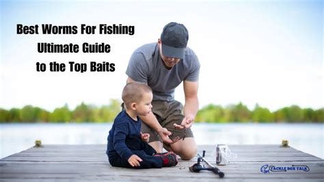 Best Worms for Fishing: Ultimate Guide to the Top Baits.